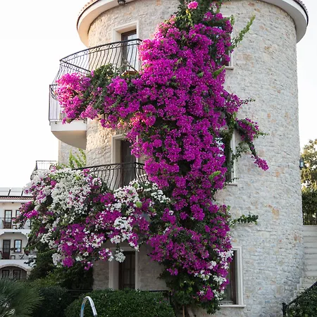 Orcey Ξενοδοχείο Datca