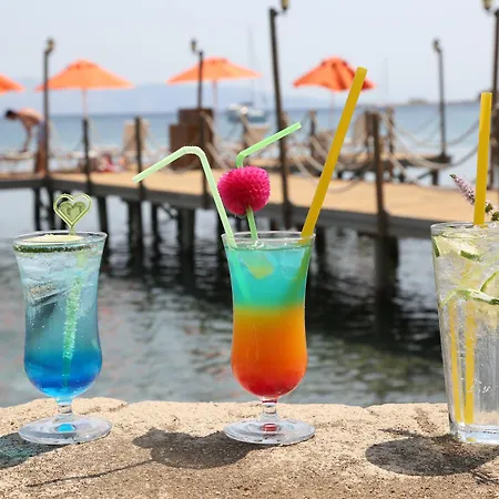 Ξενοδοχείο Orcey 3*