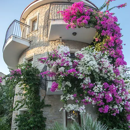 Orcey Ξενοδοχείο