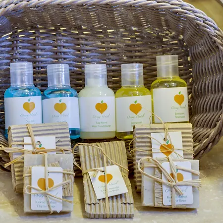 Orcey Ξενοδοχείο