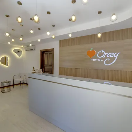 ホテル Orcey 3*
